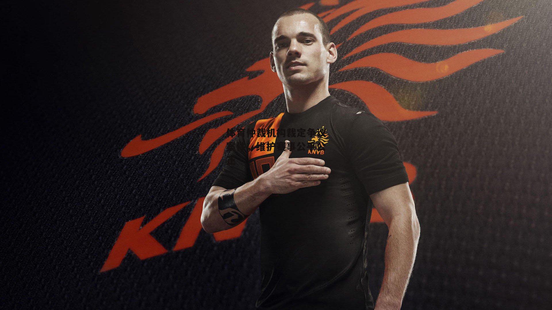 体育仲裁机构裁定争议案件,维护赛事公平公正