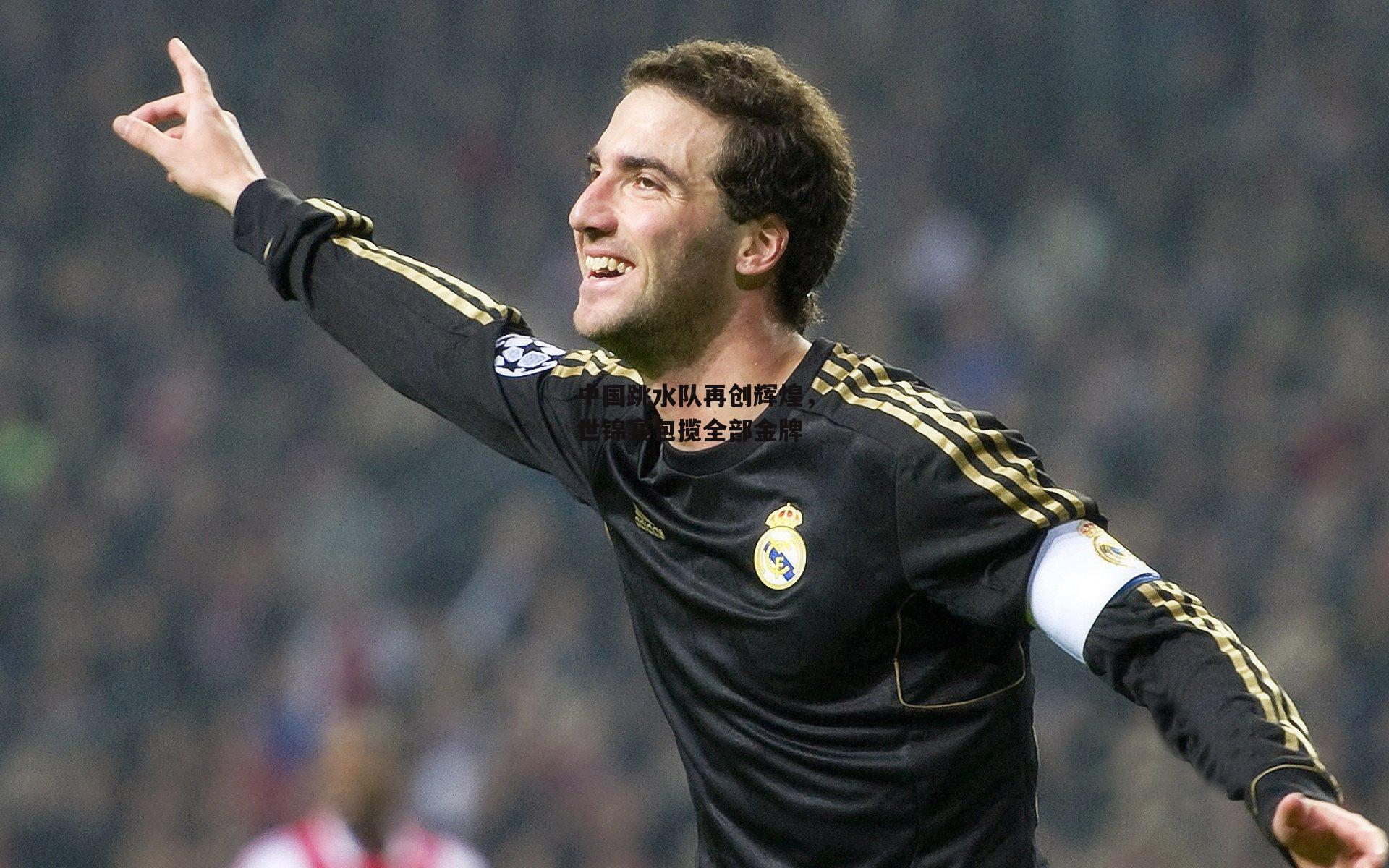 中国跳水队再创辉煌,世锦赛包揽全部金牌